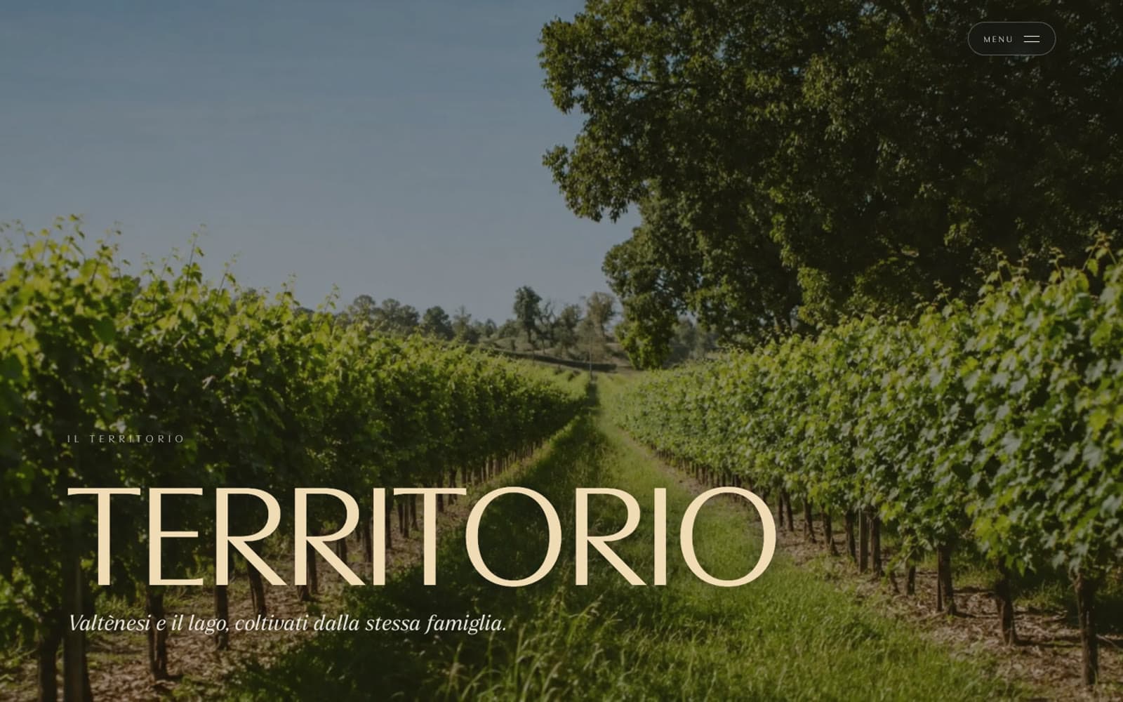 L'apertura della pagina Territorio, con un filare di vigna e il titolo a tutta larghezza