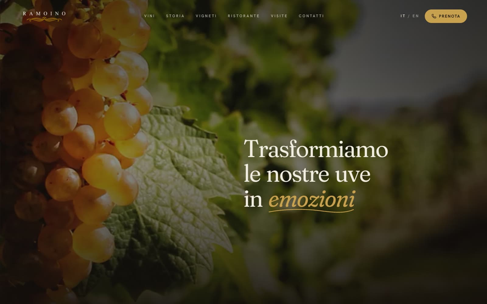 La prima schermata della home con il grappolo di Pigato e il titolo Trasformiamo le nostre uve in emozioni
