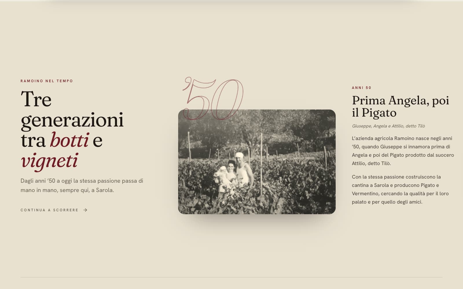 La linea del tempo della famiglia, con la foto degli anni Cinquanta tra i filari