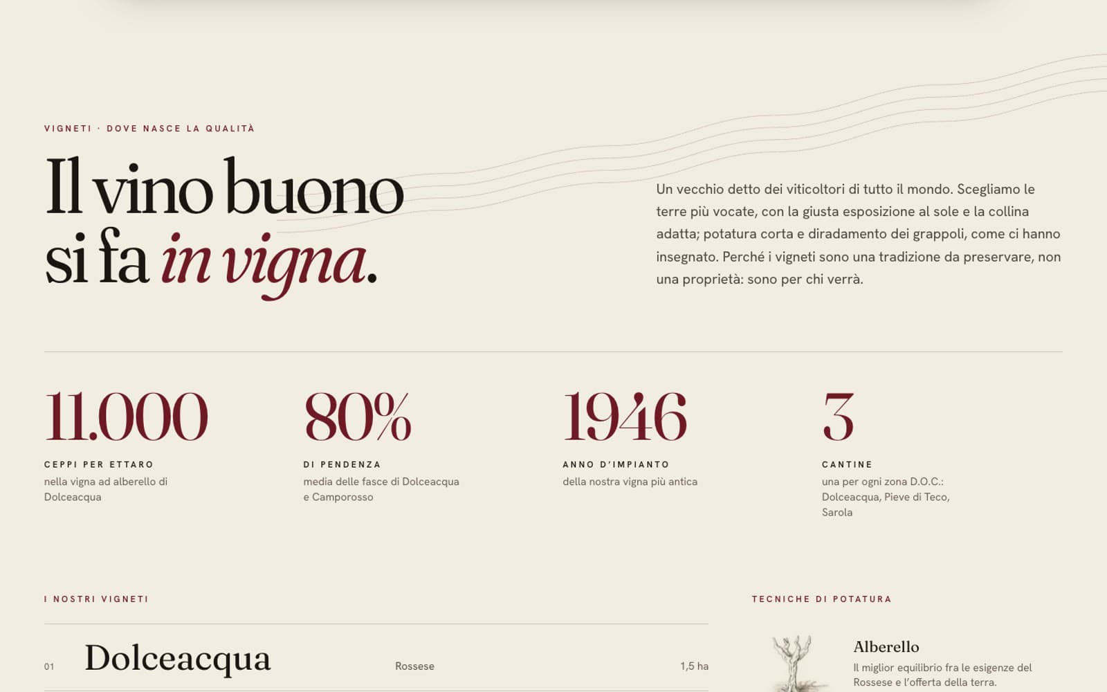 La sezione Vigneti con il titolo Il vino buono si fa in vigna