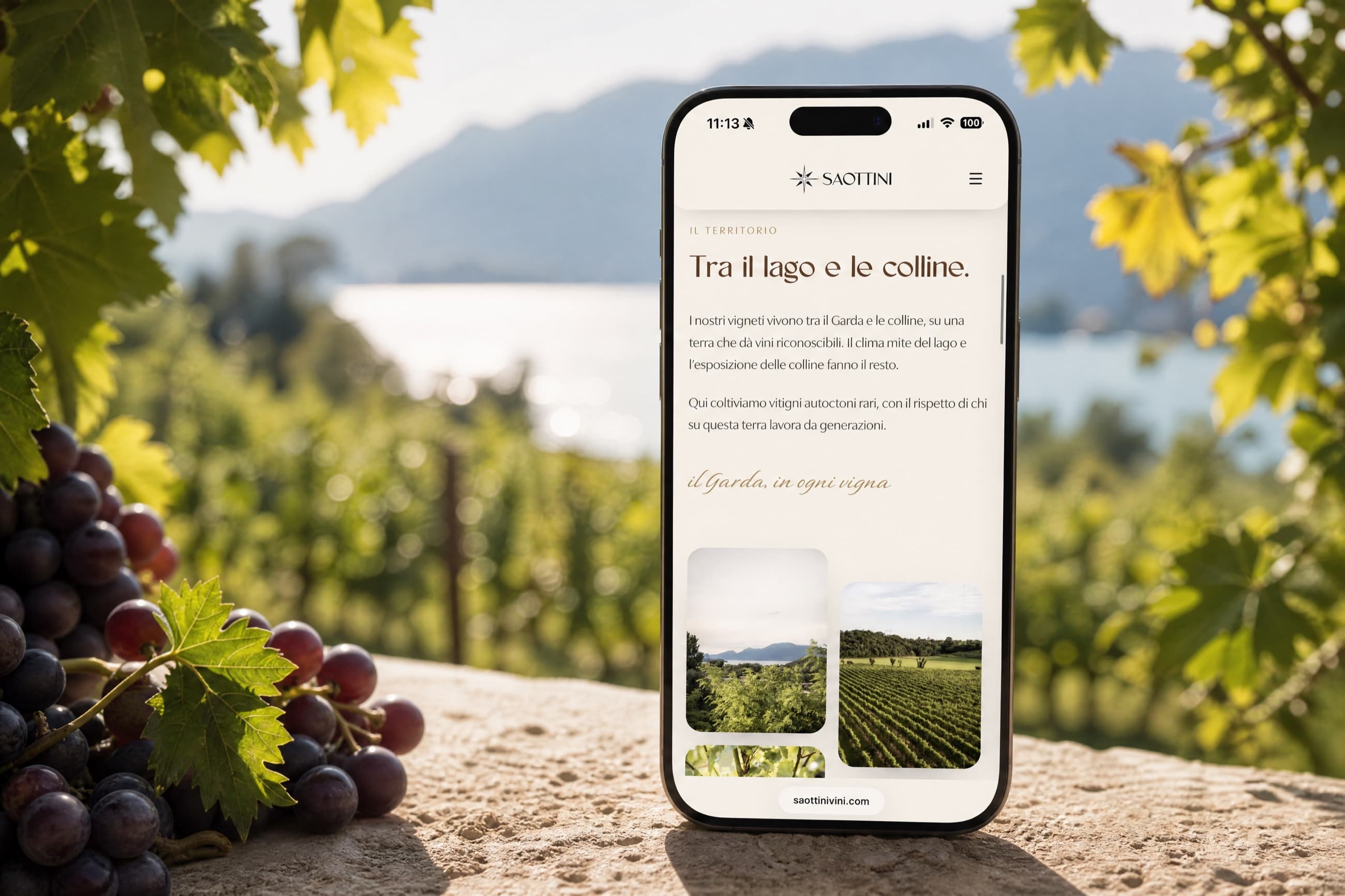 La pagina del territorio sul telefono, con le vigne sullo sfondo
