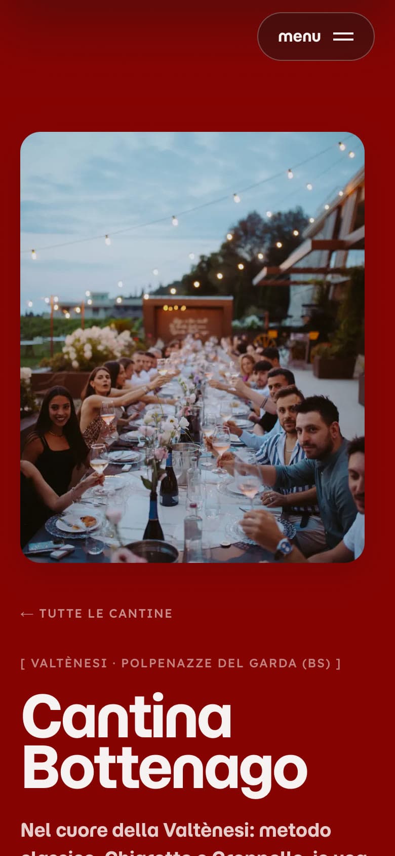 La pagina di Cantina Bottenago su telefono